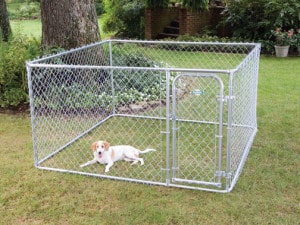 dog pen