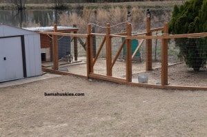 husky puppies for sale Alabama