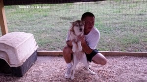 man holding a husky dog