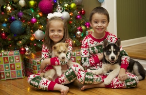 kids holding husky puppies