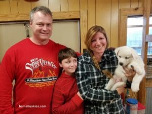 white husky puppy with blue eyes