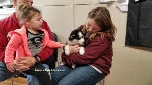 kids and a husky puppy