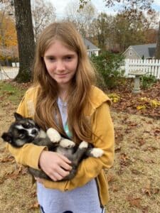 runny poop in husky puppies