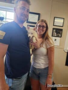 white husky puppy for sale