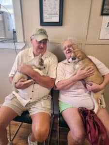 agouti husky puppy for sale