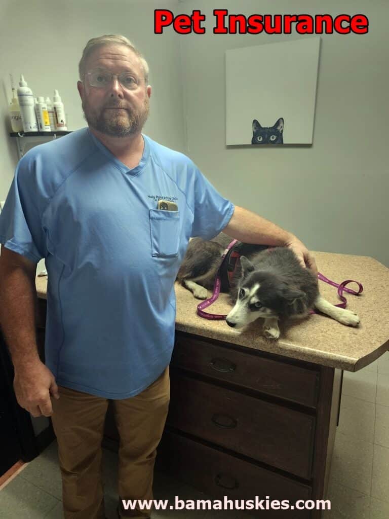 husky pet insurance