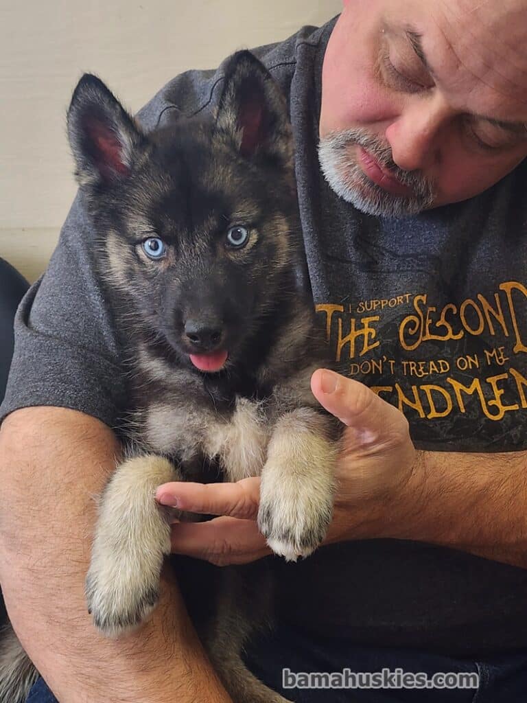 buying a puppy from a responsible breeder