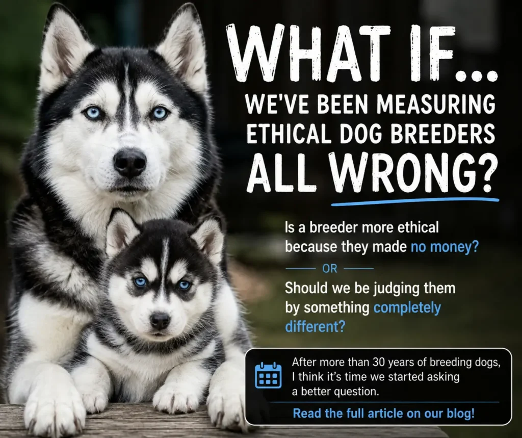 Adult Siberian Husky and Husky puppy representing responsible dog breeding and ethical breeding practices discussed by Husky Jim of Bama Huskies.