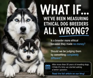 Adult Siberian Husky and Husky puppy representing responsible dog breeding and ethical breeding practices discussed by Husky Jim of Bama Huskies.