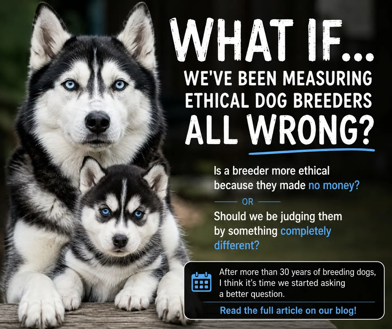Adult Siberian Husky and Husky puppy representing responsible dog breeding and ethical breeding practices discussed by Husky Jim of Bama Huskies.